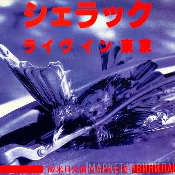 Shellac  - ライヴイン東京