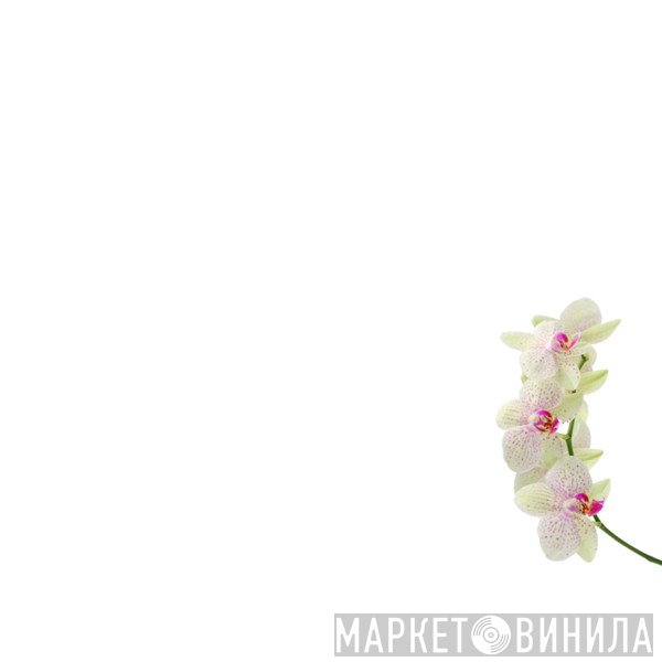 Shima33  - Museum