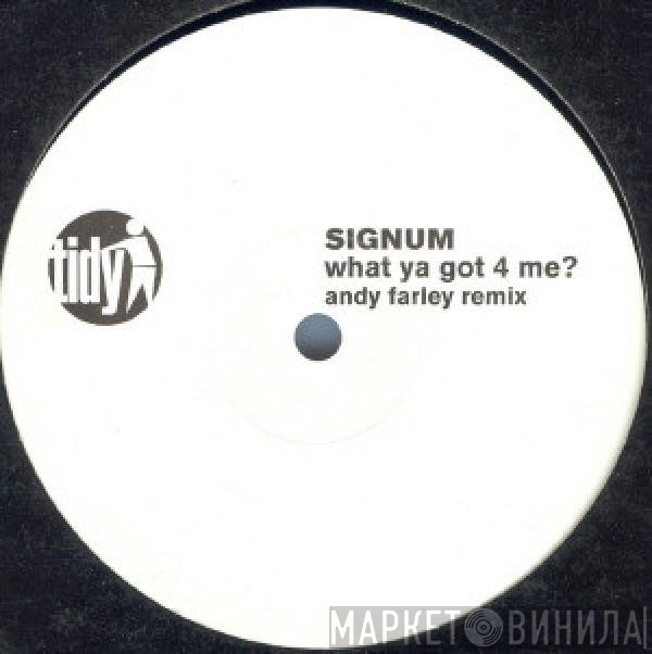 Signum - What Ya Got 4 Me? (Andy Farley Remix)