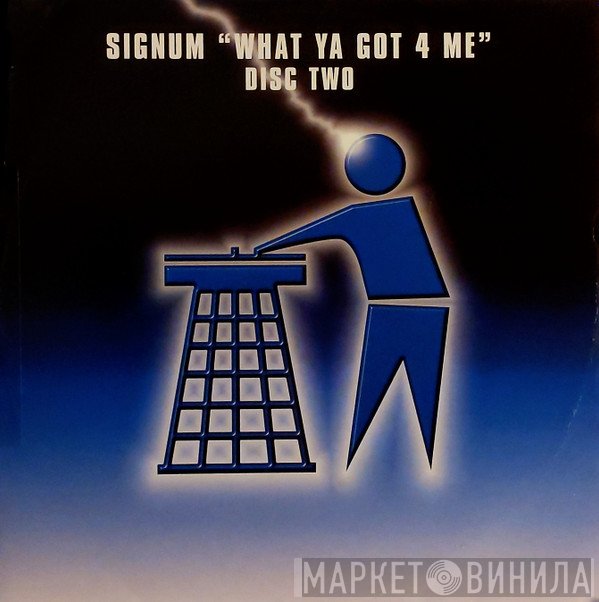 Signum - What Ya Got 4 Me