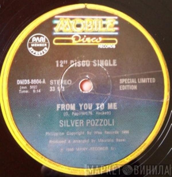 Silvio Pozzoli  - From You To Me