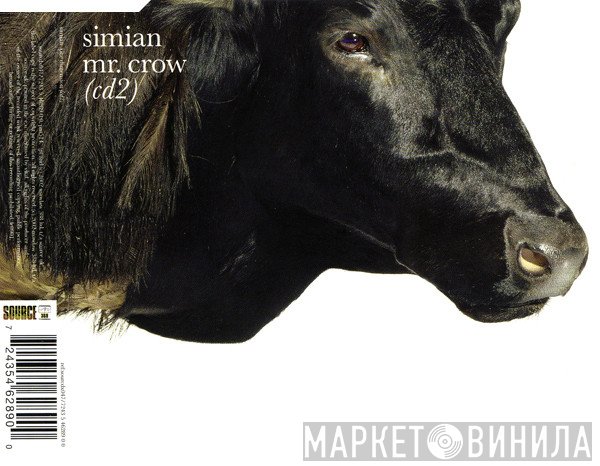 Simian - Mr. Crow