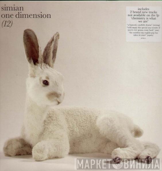 Simian  - One Dimension