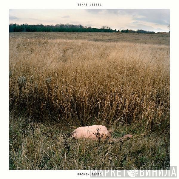 Sinai Vessel - Brokenlegged