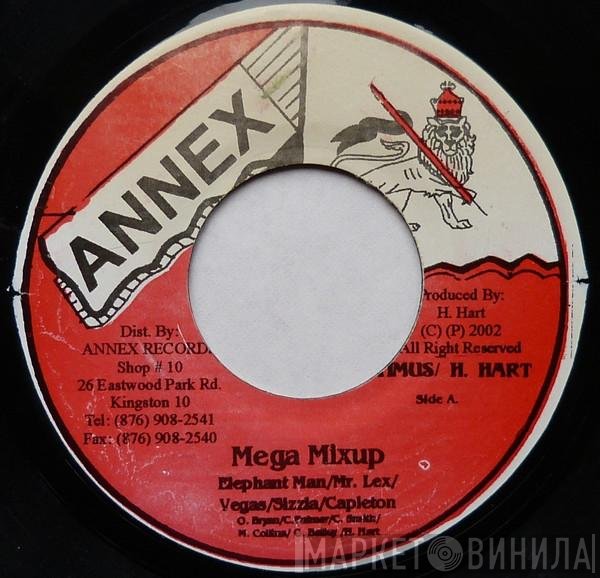Sizzla / Capleton / Mr. Lexx / Elephant Man, Mr. Vegas  - Mega Mixup / Zero Tolerance