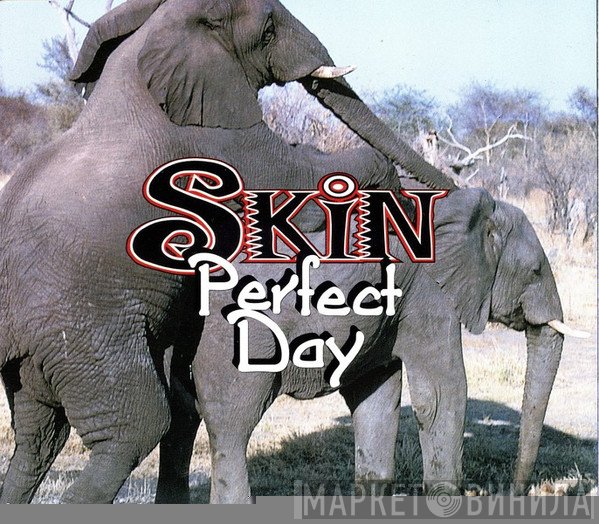 Skin  - Perfect Day