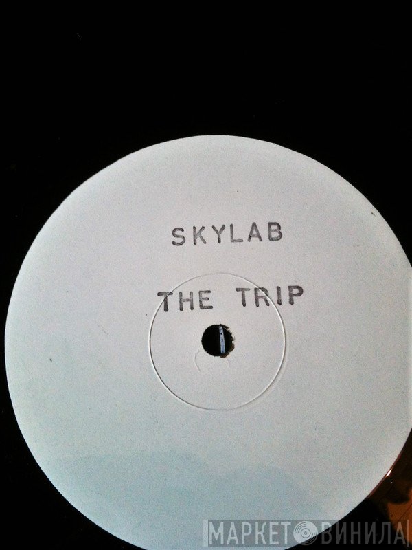 Skylab - The Trip
