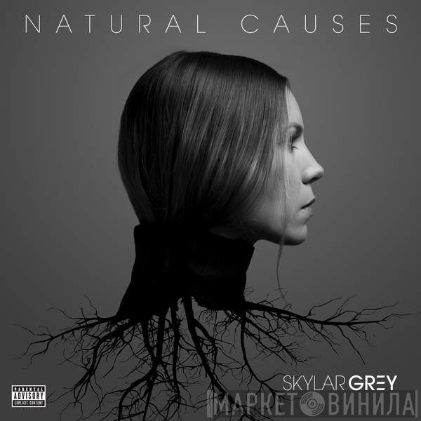 Skylar Grey  - Natural Causes