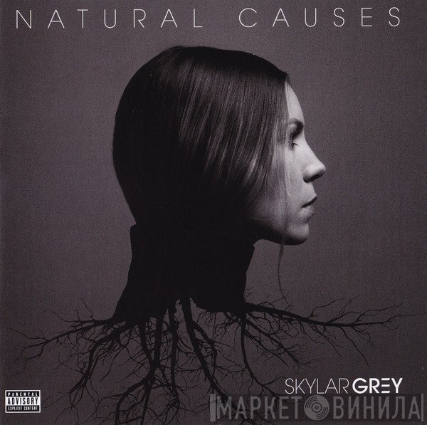 Skylar Grey  - Natural Causes
