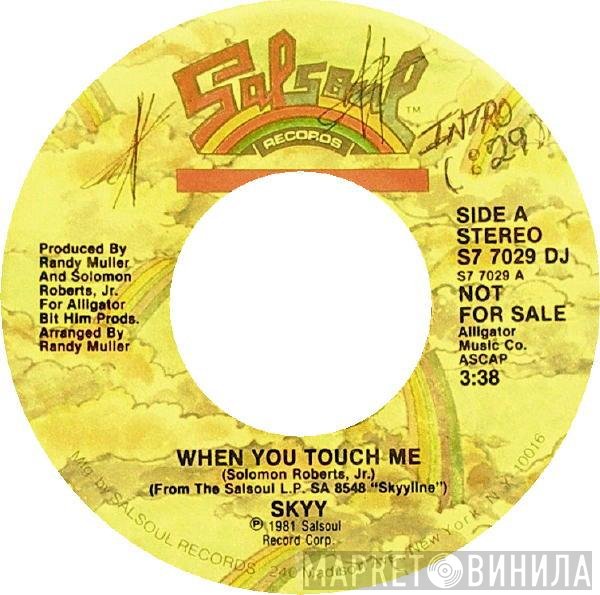 Skyy - When You Touch Me