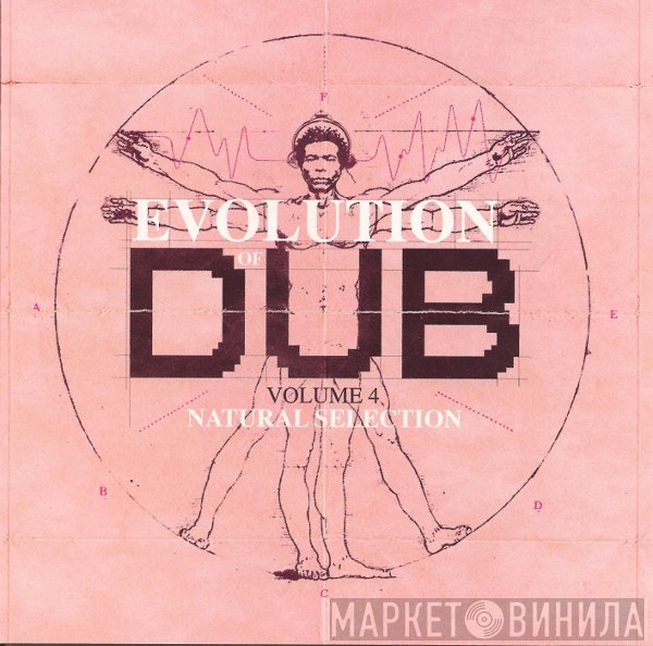 Sly & Robbie, Joe Gibbs & The Professionals - Evolution Of Dub Volume 4: Natural Selection