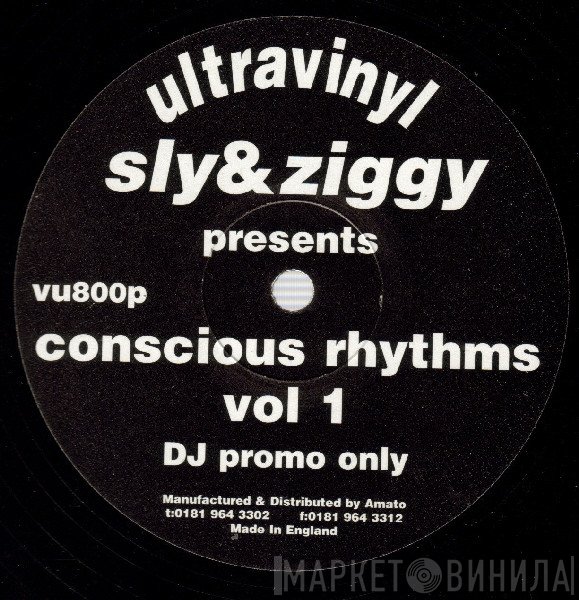Sly & Ziggy - Conscious Rhythms Vol 1