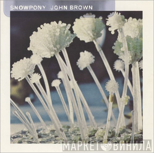 Snowpony - John Brown