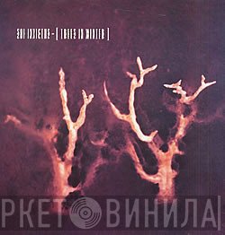 Sol Invictus  - Trees In Winter