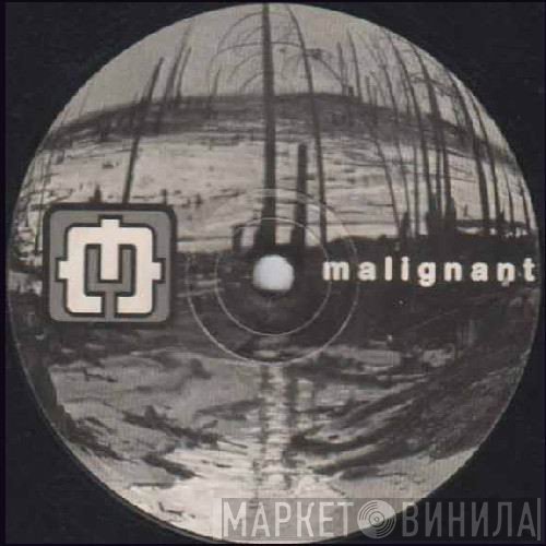 Somatic Responses / Caustic Visions  - Malignant Earth
