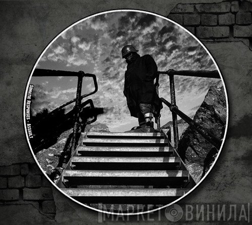 Somatic Responses  - Assault