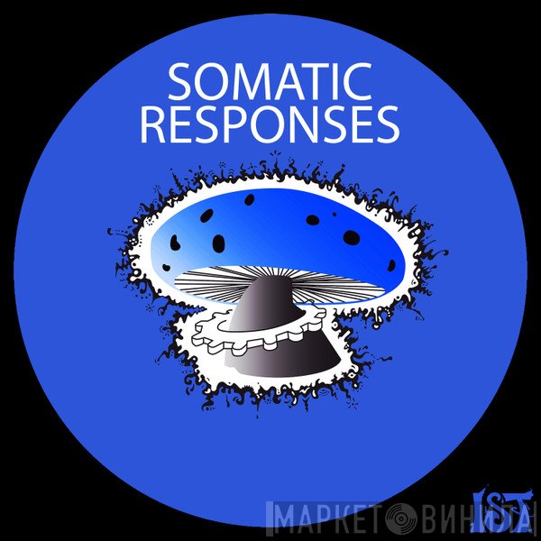 Somatic Responses  - Axon