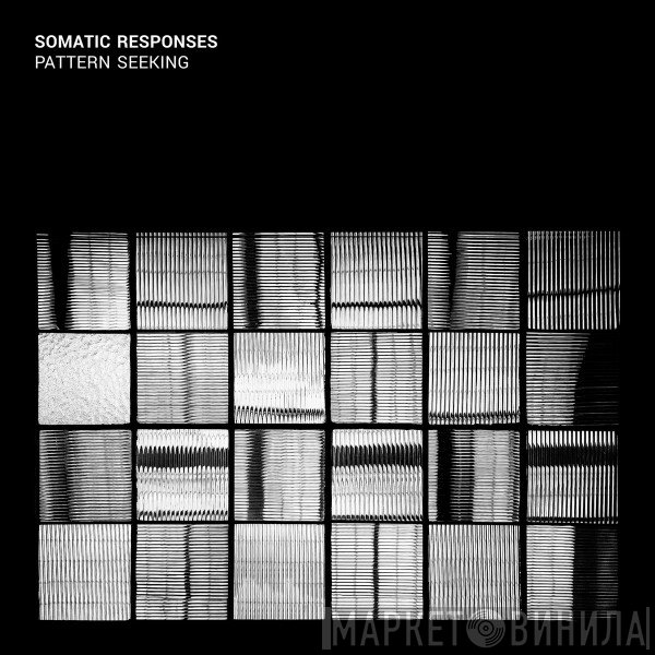 Somatic Responses  - Pattern Seeking