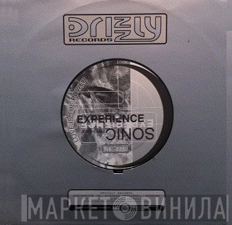 Sonic Experience  - Love Is The Power