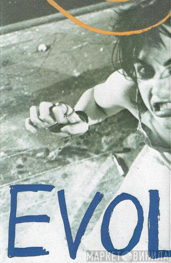 Sonic Youth  - EVOL