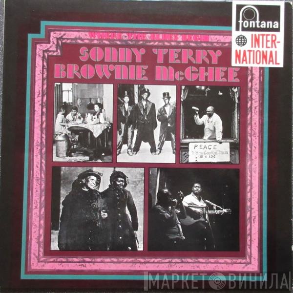 Sonny Terry & Brownie McGhee - Where The Blues Begin