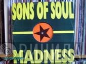 Sons Of Soul - Madness