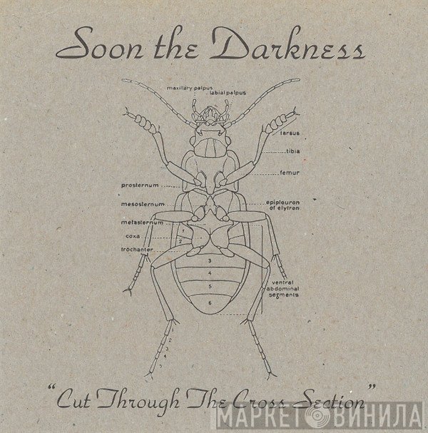Soon The Darkness - Cut Through The Cross Section