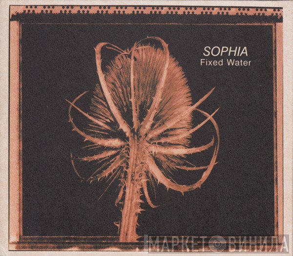 Sophia  - Fixed Water