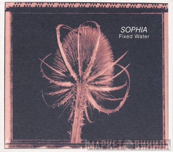 Sophia   - Fixed Water