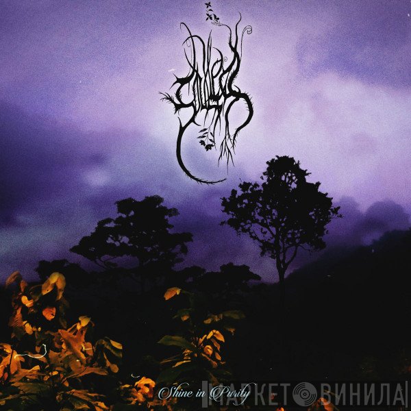 Soulless  - Shine In Purity
