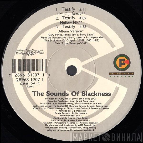 Sounds Of Blackness - Testify