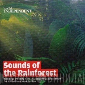  - Sounds Of The Rainforest