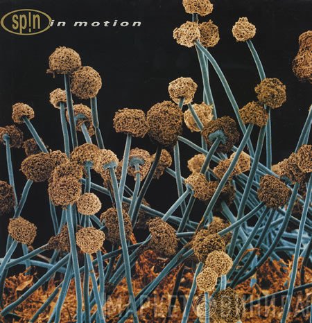 Sp!n  - In Motion