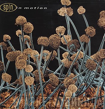 Sp!n  - In Motion