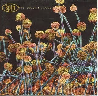 Sp!n  - In Motion