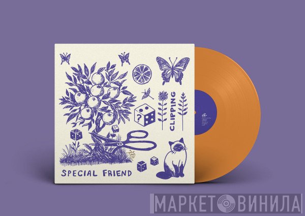 Special Friend - Clipping