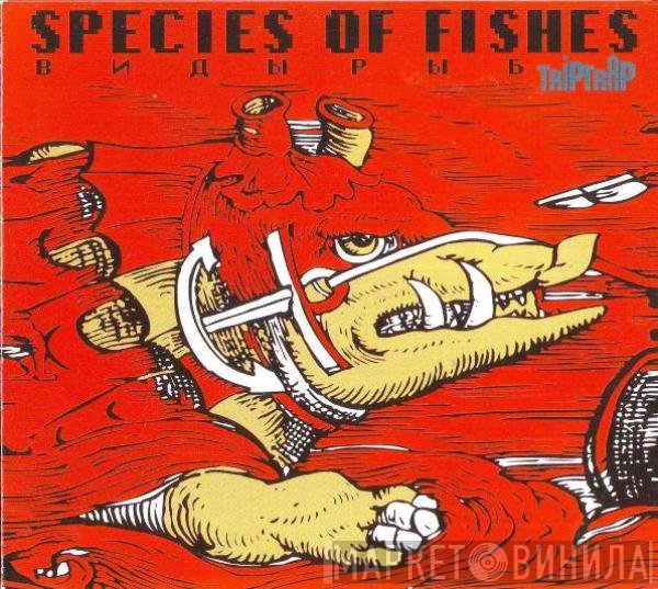 Species Of Fishes  - Trip Trap