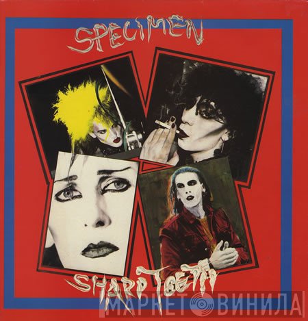 Specimen  - Sharp Teeth