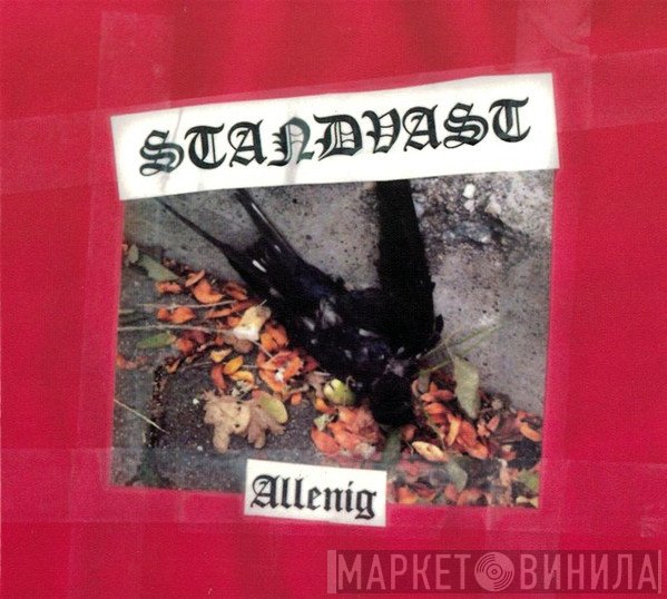 Standvast - Allenig