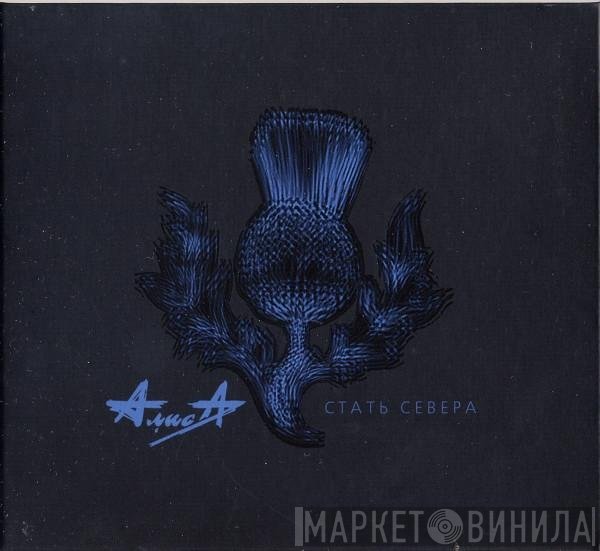 Алиса  - Стать Севера