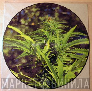 State Of Flux - Grow More Pot