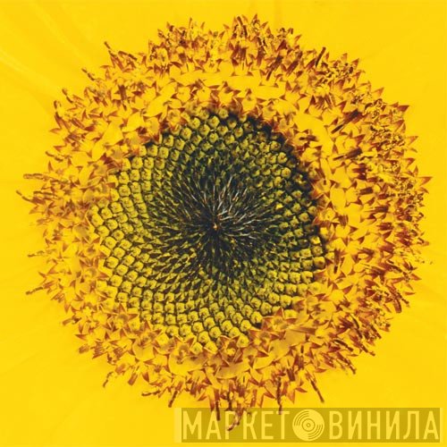 Stefan Jaworzyn  - Principles Of Inertia