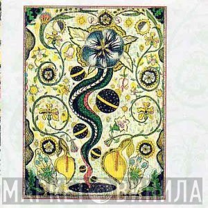 Steve Earle - I Feel Alright