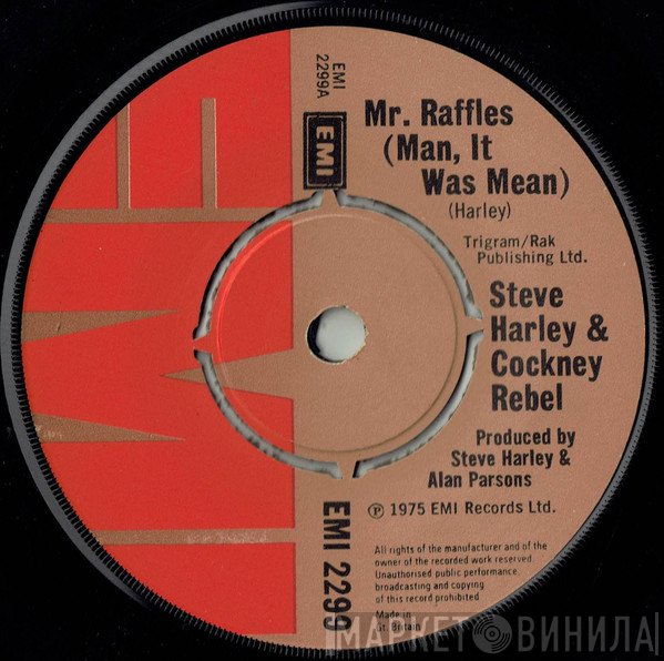 Steve Harley &amp; Cockney Rebel - Mr. Raffles (Man, It Was Mean)