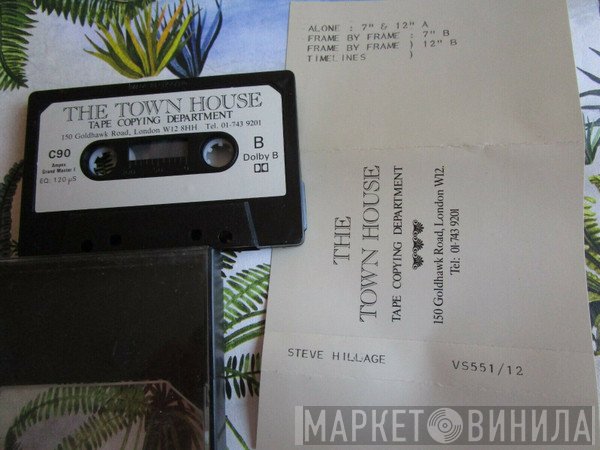 Steve Hillage  - Alone