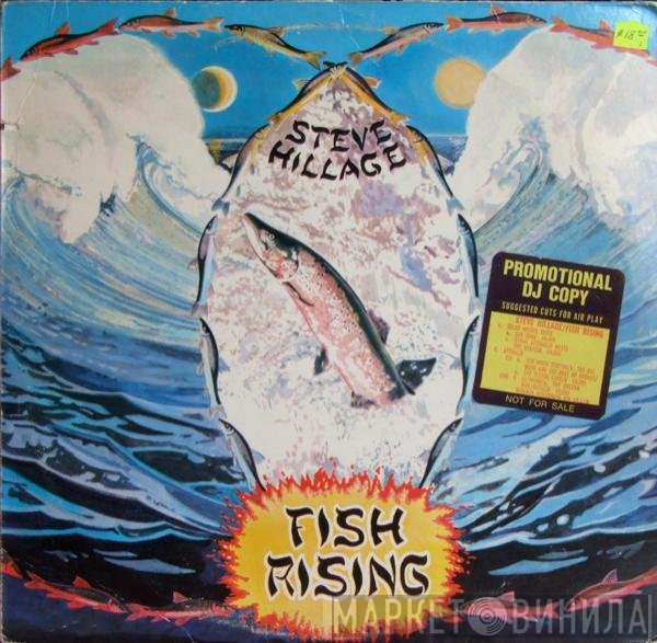 Steve Hillage  - Fish Rising