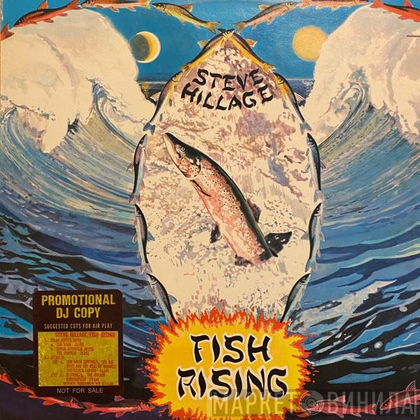 Steve Hillage  - Fish Rising