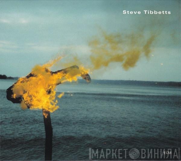 Steve Tibbetts - A Man About A Horse