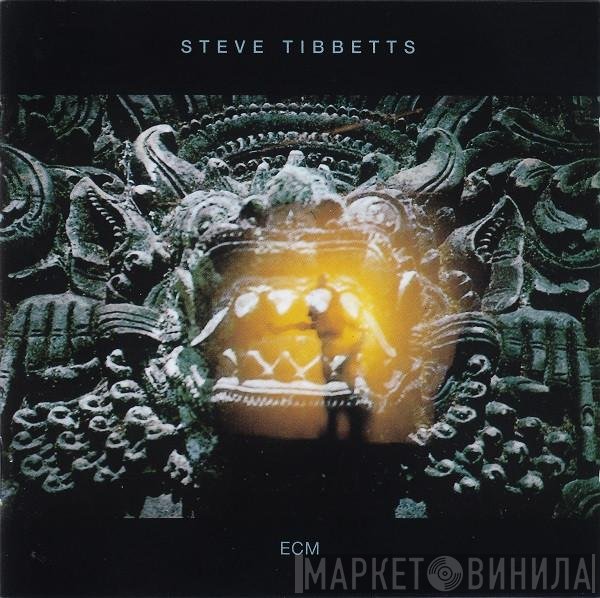 Steve Tibbetts - The Fall Of Us All