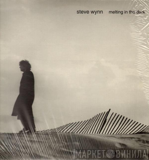 Steve Wynn  - Melting In The Dark